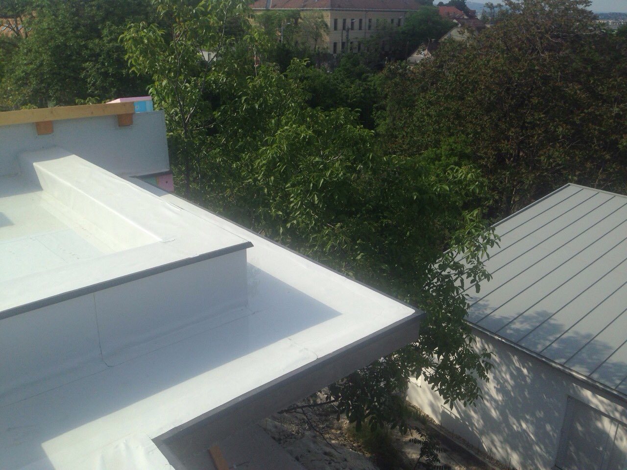 Sasko%20laposteto%20(22)